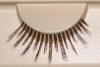 The strip lash